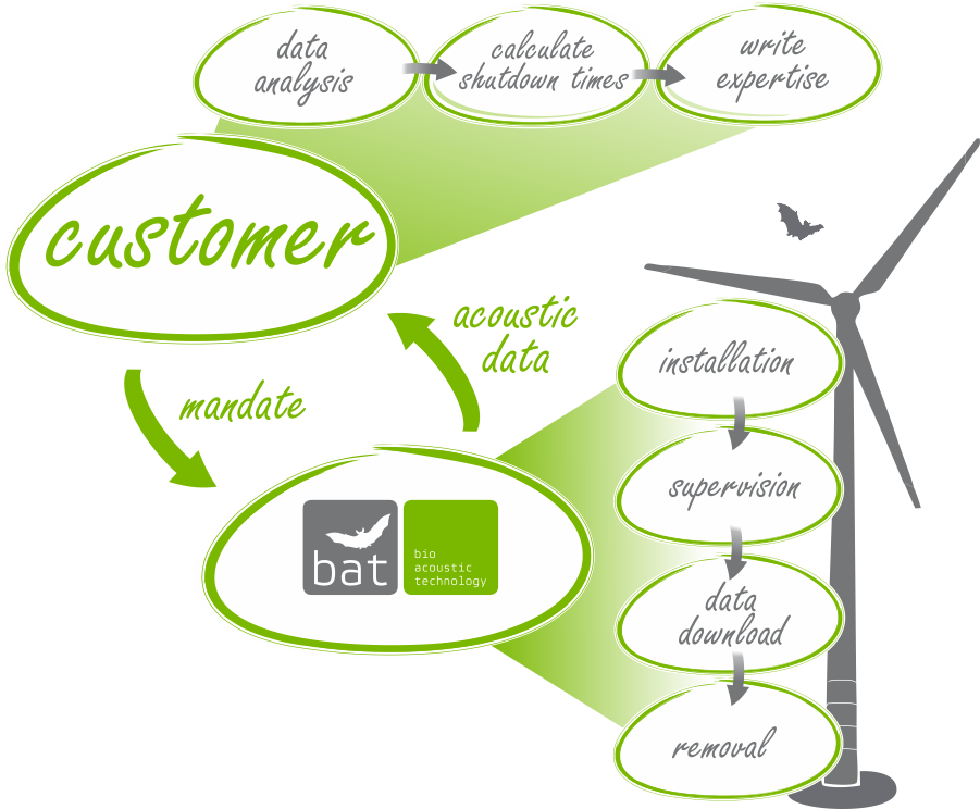 Execution of Acoustical Bat Monitoring