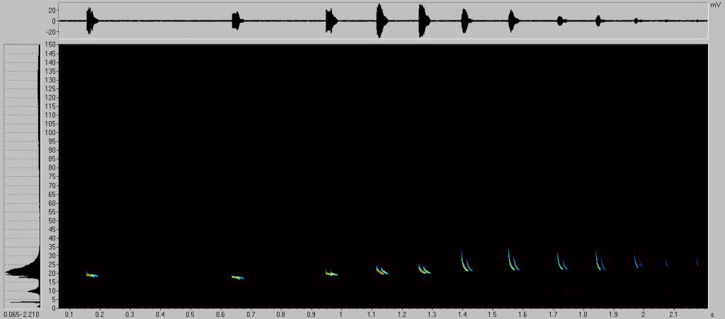Nacelle Monitoring of Bats at Wind Turbines